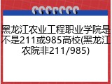 黑龙江农业工程职业学院是不是211或985高校(黑龙江农院非211/985)