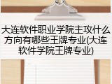 大连软件职业学院主攻什么方向有哪些王牌专业(大连软件学院王牌专业)