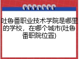 吐鲁番职业技术学院是哪里的学校，在哪个城市(吐鲁番职院位置)