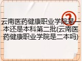 云南医药健康职业学院是一本还是本科第二批(云南医药健康职业学院是二本吗)