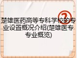 楚雄医药高等专科学校的专业设置概况介绍(楚雄医专专业概览)
