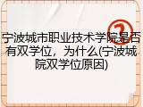 宁波城市职业技术学院是否有双学位，为什么(宁波城院双学位原因)