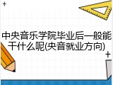 中央音乐学院毕业后一般能干什么呢(央音就业方向)