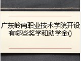 广东岭南职业技术学院开设有哪些奖学和助学金()