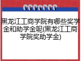 黑龙江工商学院有哪些奖学金和助学金呢(黑龙江工商学院奖助学金)
