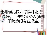 惠州城市职业学院什么专业最好，一年招多少人(惠州职院热门专业招生)