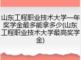 山东工程职业技术大学一年奖学金最多能拿多少(山东工程职业技术大学最高奖学金)