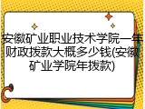安徽矿业职业技术学院一年财政拨款大概多少钱(安徽矿业学院年拨款)