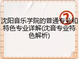 沈阳音乐学院的普通专业和特色专业详解(沈音专业特色解析)