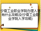 宁夏工业职业学院办理入学有什么攻略没(宁夏工业职业学院入学攻略)