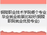 铜陵职业技术学院哪个专业毕业就业前景比较好(铜陵职院就业优势专业)