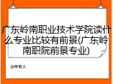 广东岭南职业技术学院读什么专业比较有前景(广东岭南职院前景专业)