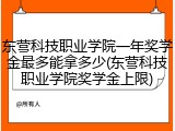 东营科技职业学院一年奖学金最多能拿多少(东营科技职业学院奖学金上限)
