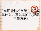 广东职业技术学院主攻方向是什么，怎么样(广东职院主攻方向)