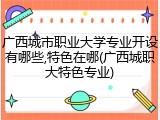 广西城市职业大学专业开设有哪些,特色在哪(广西城职大特色专业)