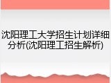 沈阳理工大学招生计划详细分析(沈阳理工招生解析)