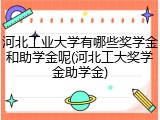 河北工业大学有哪些奖学金和助学金呢(河北工大奖学金助学金)