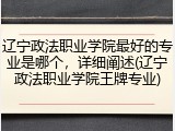 辽宁政法职业学院最好的专业是哪个，详细阐述(辽宁政法职业学院王牌专业)