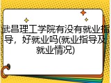 武昌理工学院有没有就业指导，好就业吗(就业指导及就业情况)