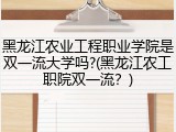 黑龙江农业工程职业学院是双一流大学吗?(黑龙江农工职院双一流？)