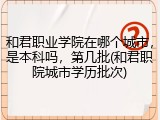 和君职业学院在哪个城市，是本科吗，第几批(和君职院城市学历批次)