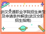 武汉交通职业学院招生类型及申请条件解读(武汉交职招生指南)