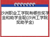 沙洲职业工学院有哪些奖学金和助学金呢(沙洲工学院奖助学金)