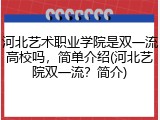河北艺术职业学院是双一流高校吗，简单介绍(河北艺院双一流？简介)