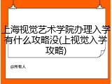 上海视觉艺术学院办理入学有什么攻略没(上视觉入学攻略)