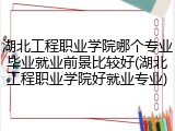 湖北工程职业学院哪个专业毕业就业前景比较好(湖北工程职业学院好就业专业)