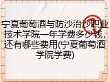 宁夏葡萄酒与防沙治沙职业技术学院一年学费多少钱，还有哪些费用(宁夏葡萄酒学院学费)