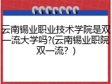 云南锡业职业技术学院是双一流大学吗?(云南锡业职院双一流？)