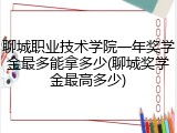聊城职业技术学院一年奖学金最多能拿多少(聊城奖学金最高多少)