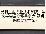 昆明工业职业技术学院一年奖学金最多能拿多少(昆明工院最高奖学金)