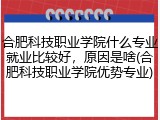 合肥科技职业学院什么专业就业比较好，原因是啥(合肥科技职业学院优势专业)