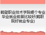 鹤壁职业技术学院哪个专业毕业就业前景比较好(鹤职院好就业专业)