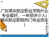 广东肇庆航空职业学院什么专业最好，一年招多少人(肇庆航空职院热门专业招生)