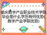 重庆数字产业职业技术学院毕业是什么学历有何优势(数字产业学院优势)