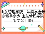 山东管理学院一年奖学金最多能拿多少(山东管理学院奖学金上限)