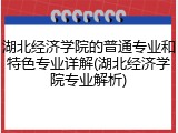 湖北经济学院的普通专业和特色专业详解(湖北经济学院专业解析)