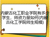 内蒙古化工职业学院有多少学生，师资力量如何(内蒙古化工学院师生规模)