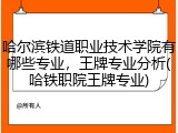 哈尔滨铁道职业技术学院有哪些专业，王牌专业分析(哈铁职院王牌专业)