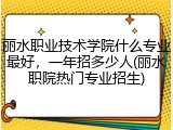丽水职业技术学院什么专业最好，一年招多少人(丽水职院热门专业招生)