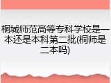桐城师范高等专科学校是一本还是本科第二批(桐师是二本吗)