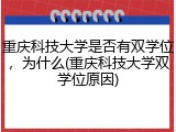 重庆科技大学是否有双学位，为什么(重庆科技大学双学位原因)
