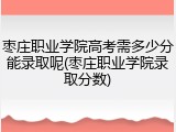 枣庄职业学院高考需多少分能录取呢(枣庄职业学院录取分数)