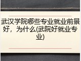 武汉学院哪些专业就业前景好，为什么(武院好就业专业)