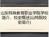 山东特殊教育职业学院学校简介，校史概述(山特院校史简介)