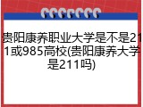 贵阳康养职业大学是不是211或985高校(贵阳康养大学是211吗)