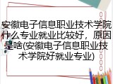 安徽电子信息职业技术学院什么专业就业比较好，原因是啥(安徽电子信息职业技术学院好就业专业)